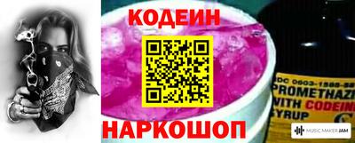 индика Гусь-Хрустальный