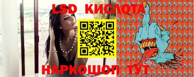 индика Гусь-Хрустальный