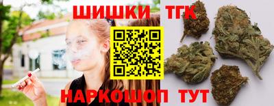 индика Гусь-Хрустальный